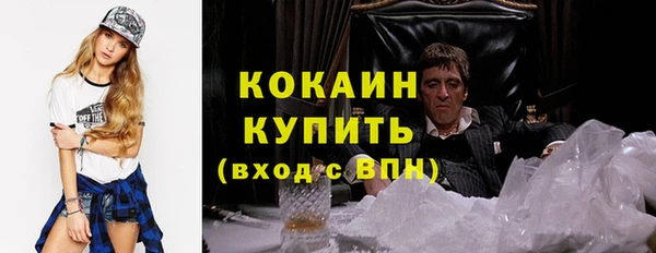 индика Балабаново