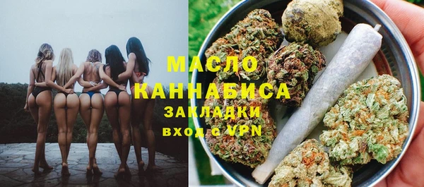 индика Балабаново