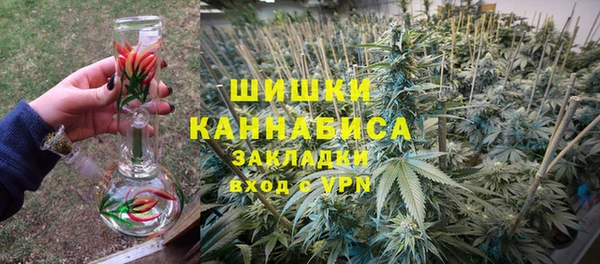 индика Балабаново