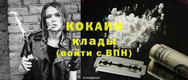 индика Балабаново